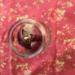 jacinto en tarro de cristal