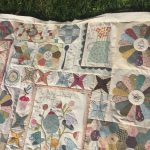 IMG_016quilt gossip in the garden