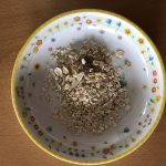 propiedades avena desayuno sano adelgazar