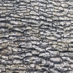 tela patchwork naturaleza piedra grises