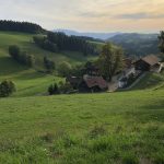 viaje a Friburgo y Selva Negra
